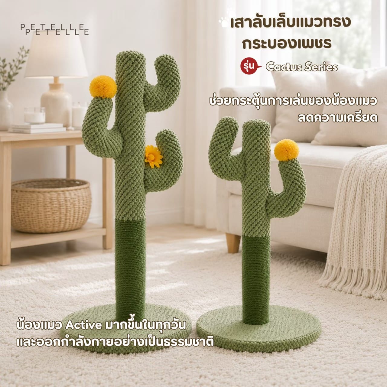 ชุดเฟอร์นิเจอร์แมว 3 ชิ้น PATELLE COZY CORNER_6